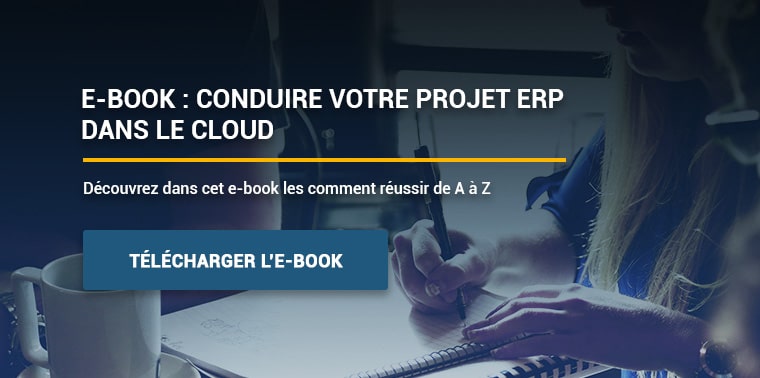 projet erp